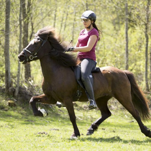 reiten1