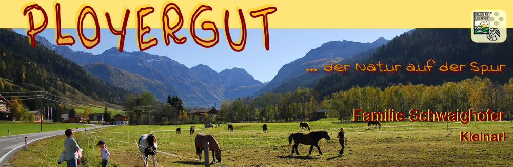 Ployergut - Kleinarl - Der Natur auf der Spur